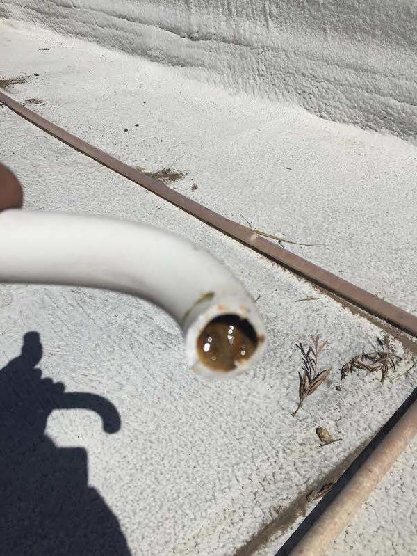 Someone holding a clogged white PVC condensate line pipe.